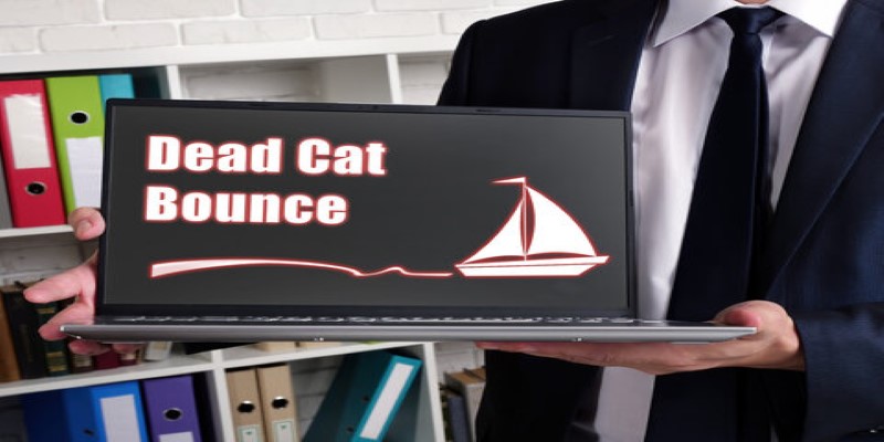 The Dead Cat Bounce Phenomenon: Decoding Market Missteps